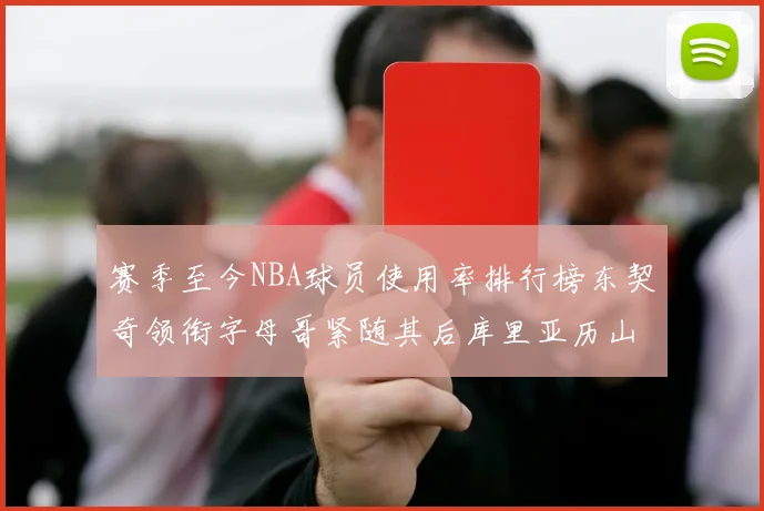 赛季至今NBA球员使用率排行榜东契奇领衔字母哥紧随其后库里亚历山大表现抢眼